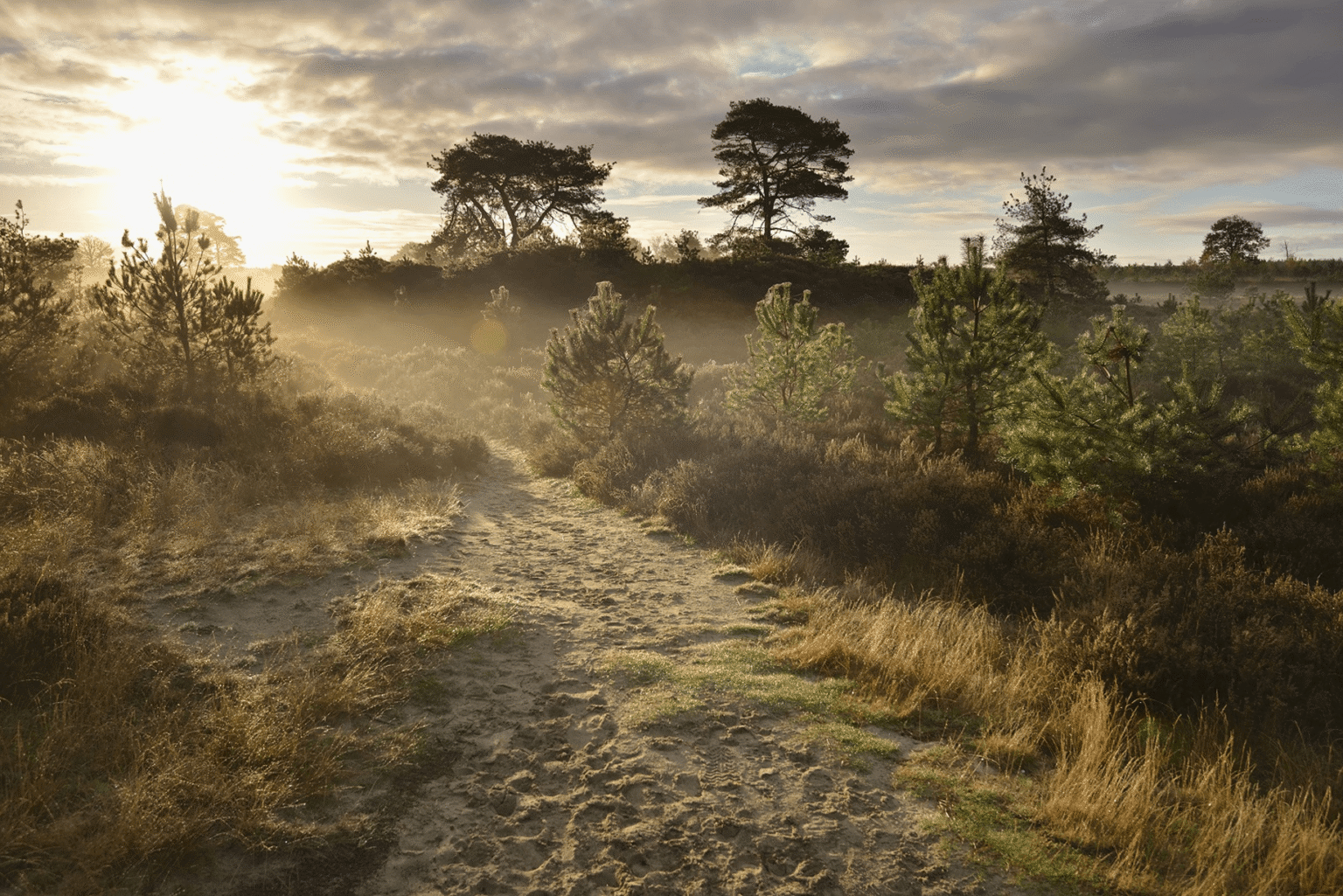 Valther Ommetje Groen Eindje Om In Drenthe Valther Ommetje Groen Eindje Om In Drenthe