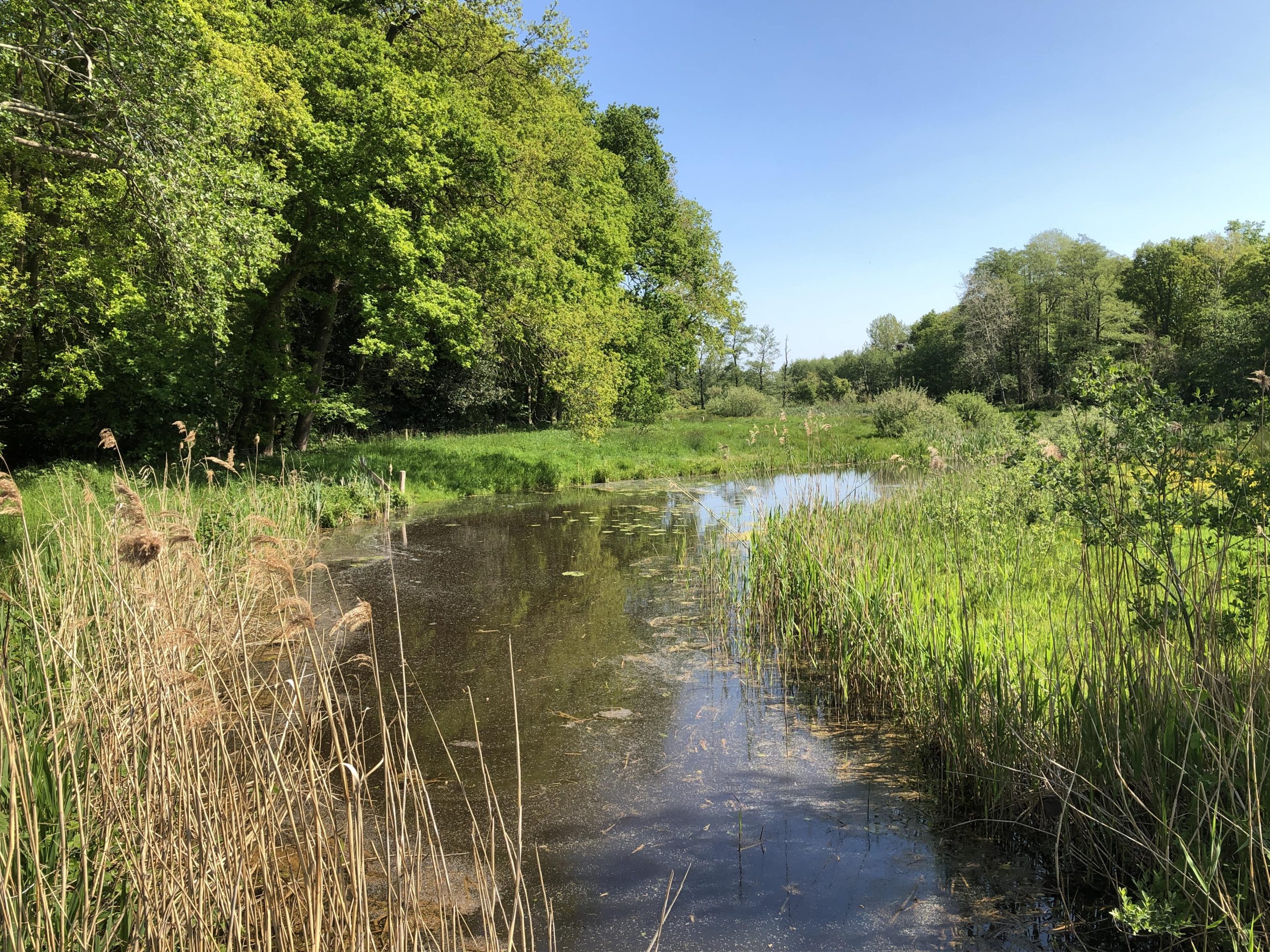 Beekdal Oude Diep bij Stuifzand