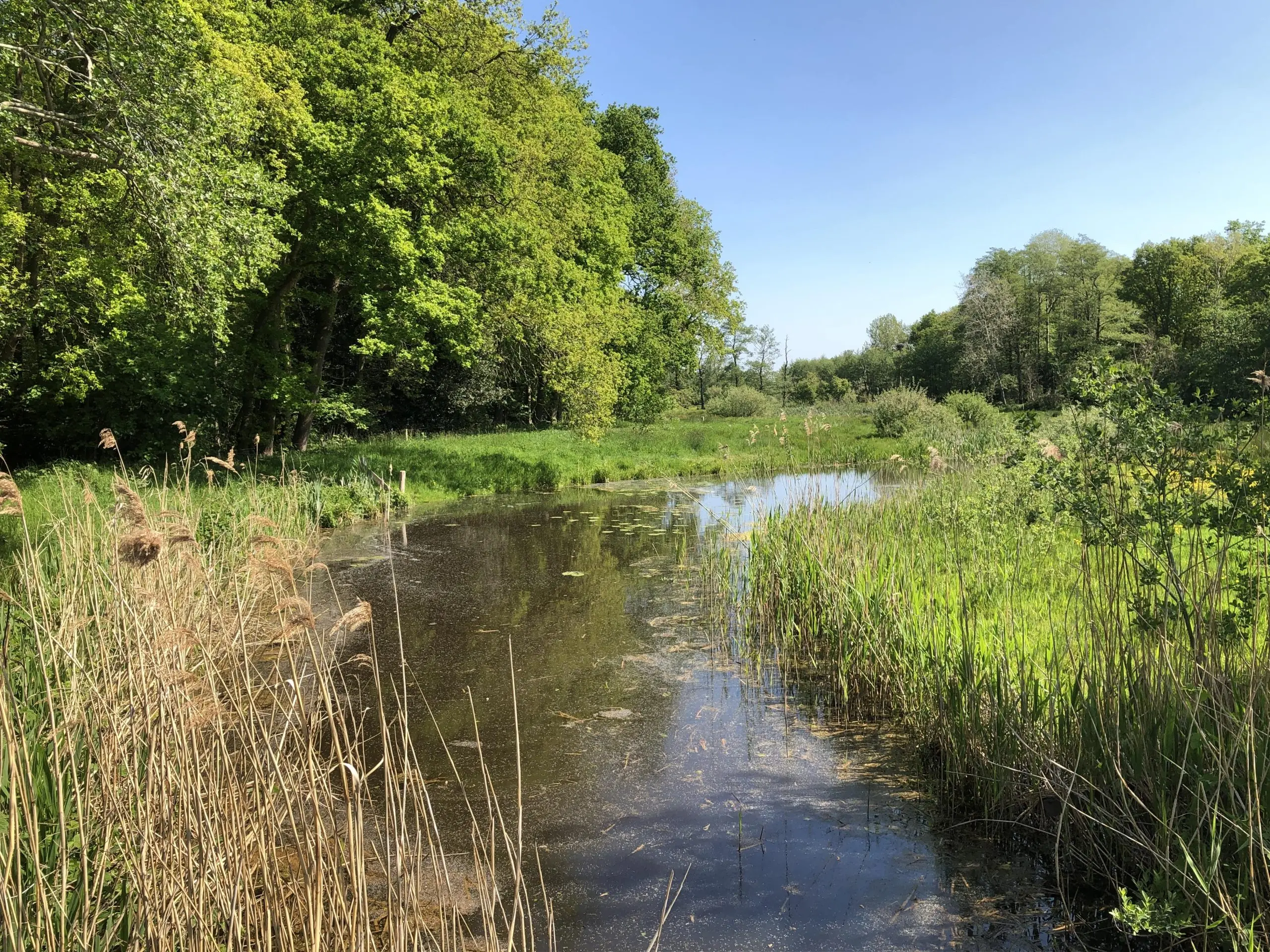 Beekdal Oude Diep bij Stuifzand