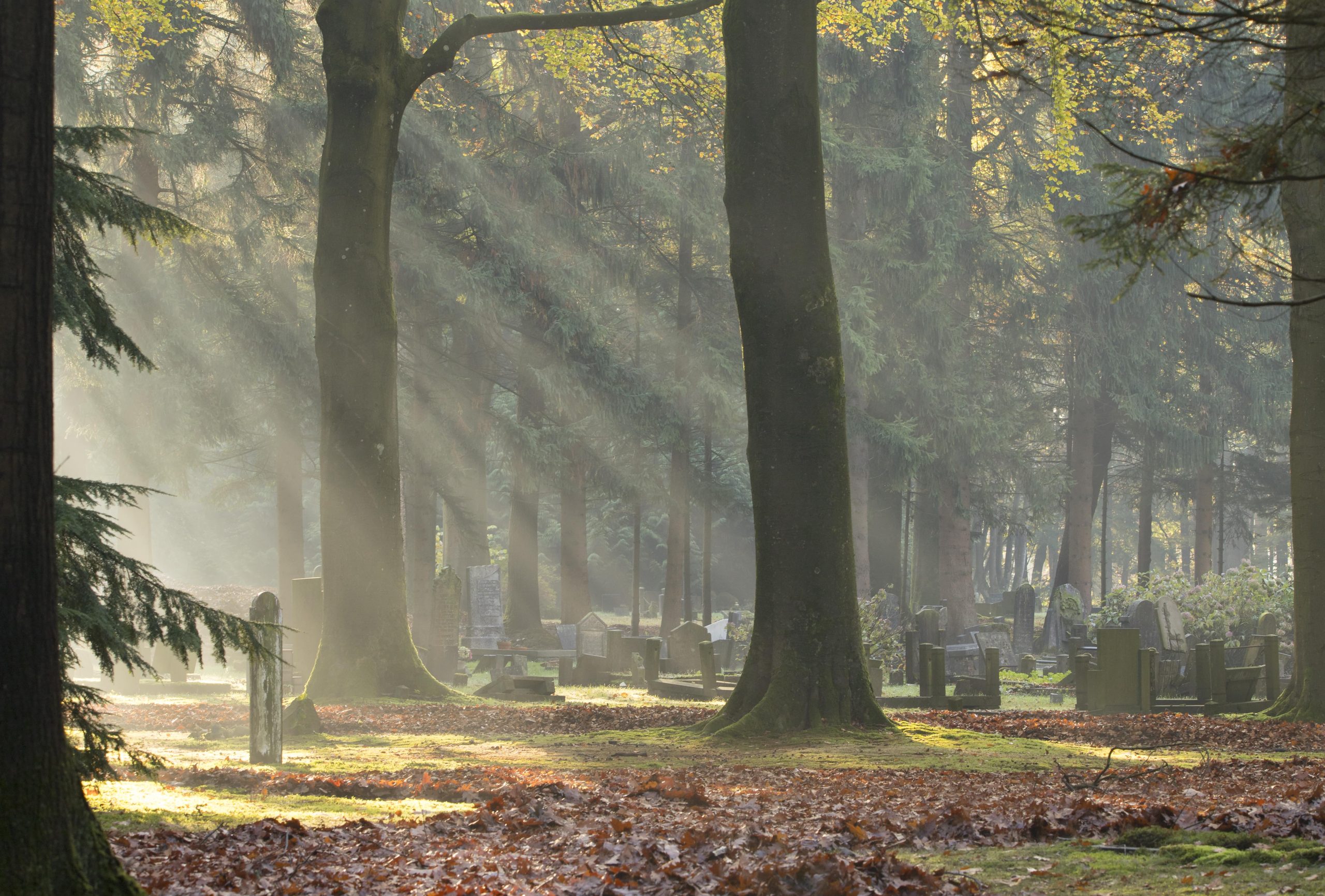 Zuiderbegraafplaats Assen