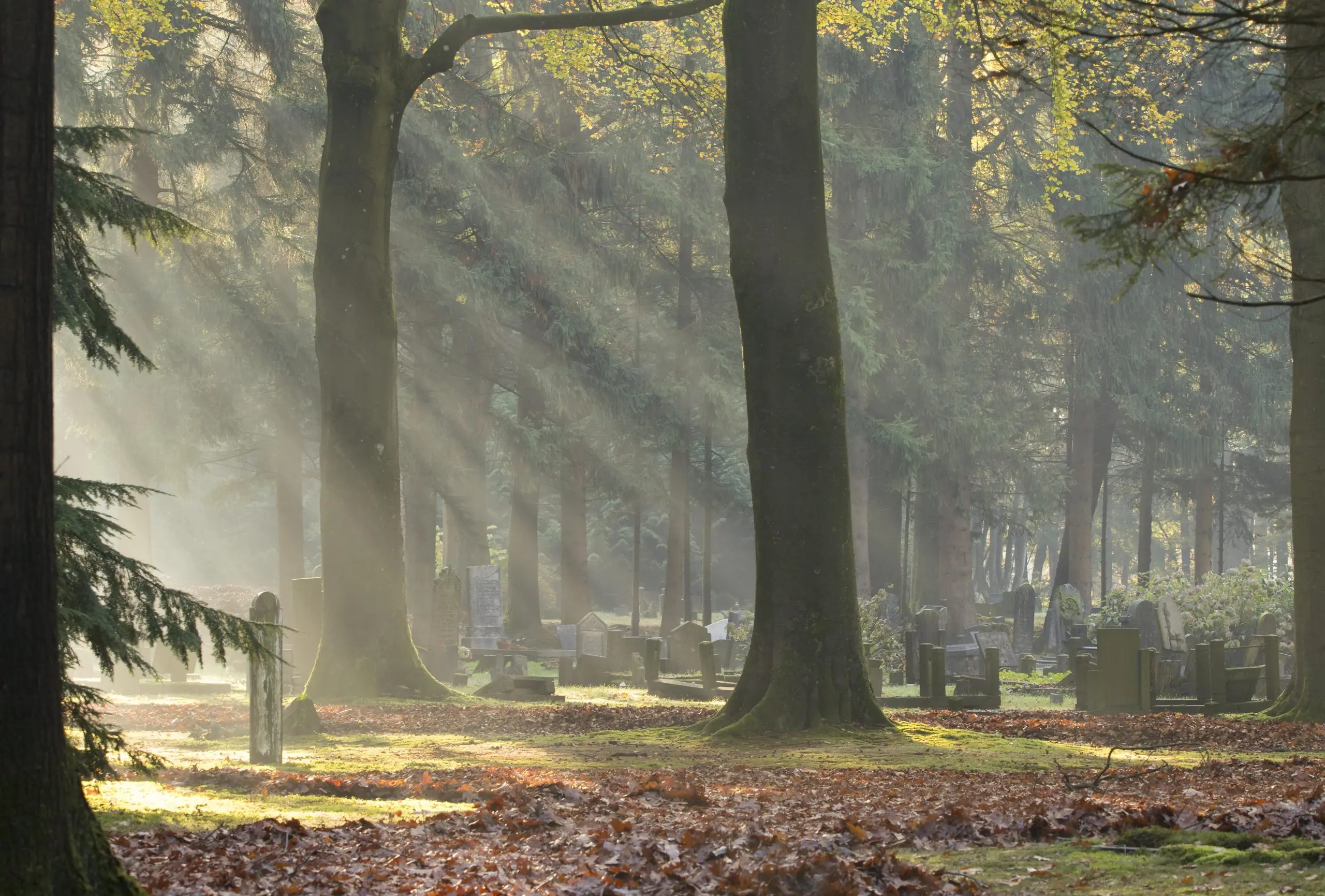 Zuiderbegraafplaats Assen