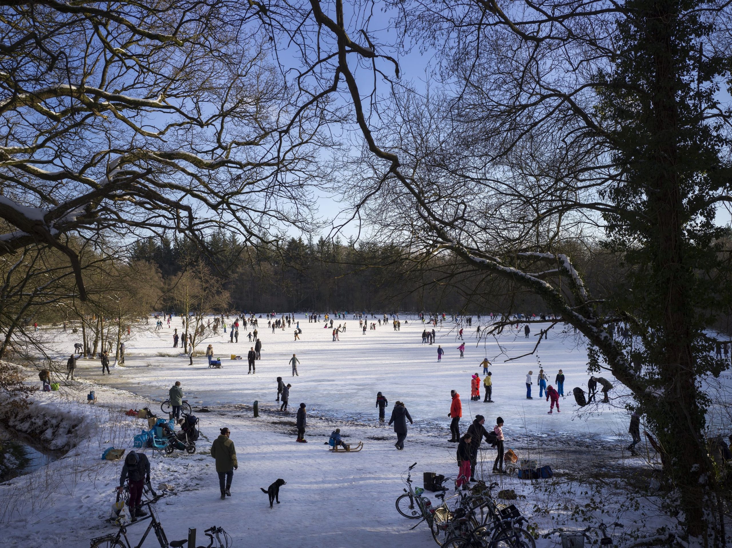 IJsbaan Asserbos 2021