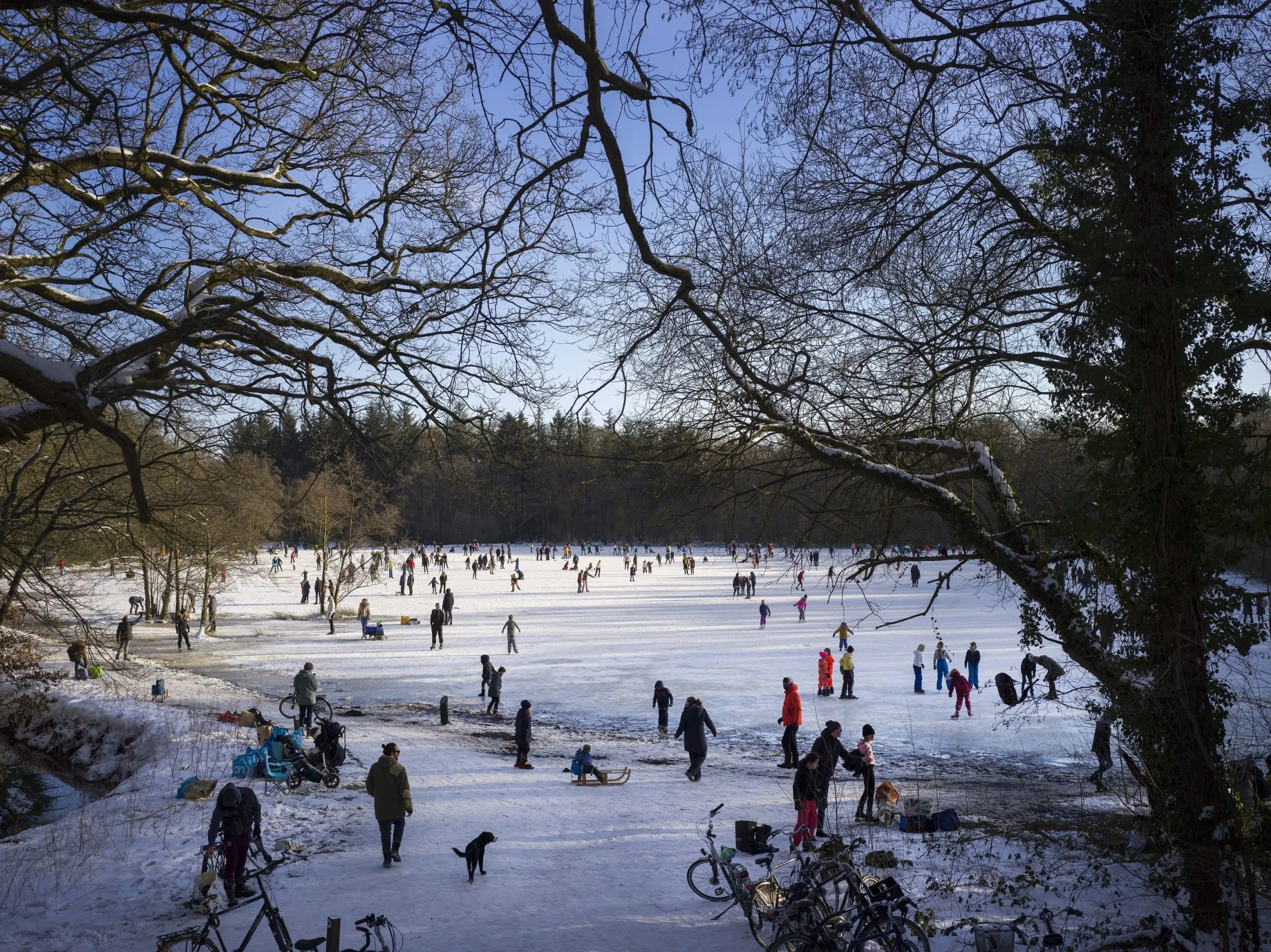 IJsbaan Asserbos 2021