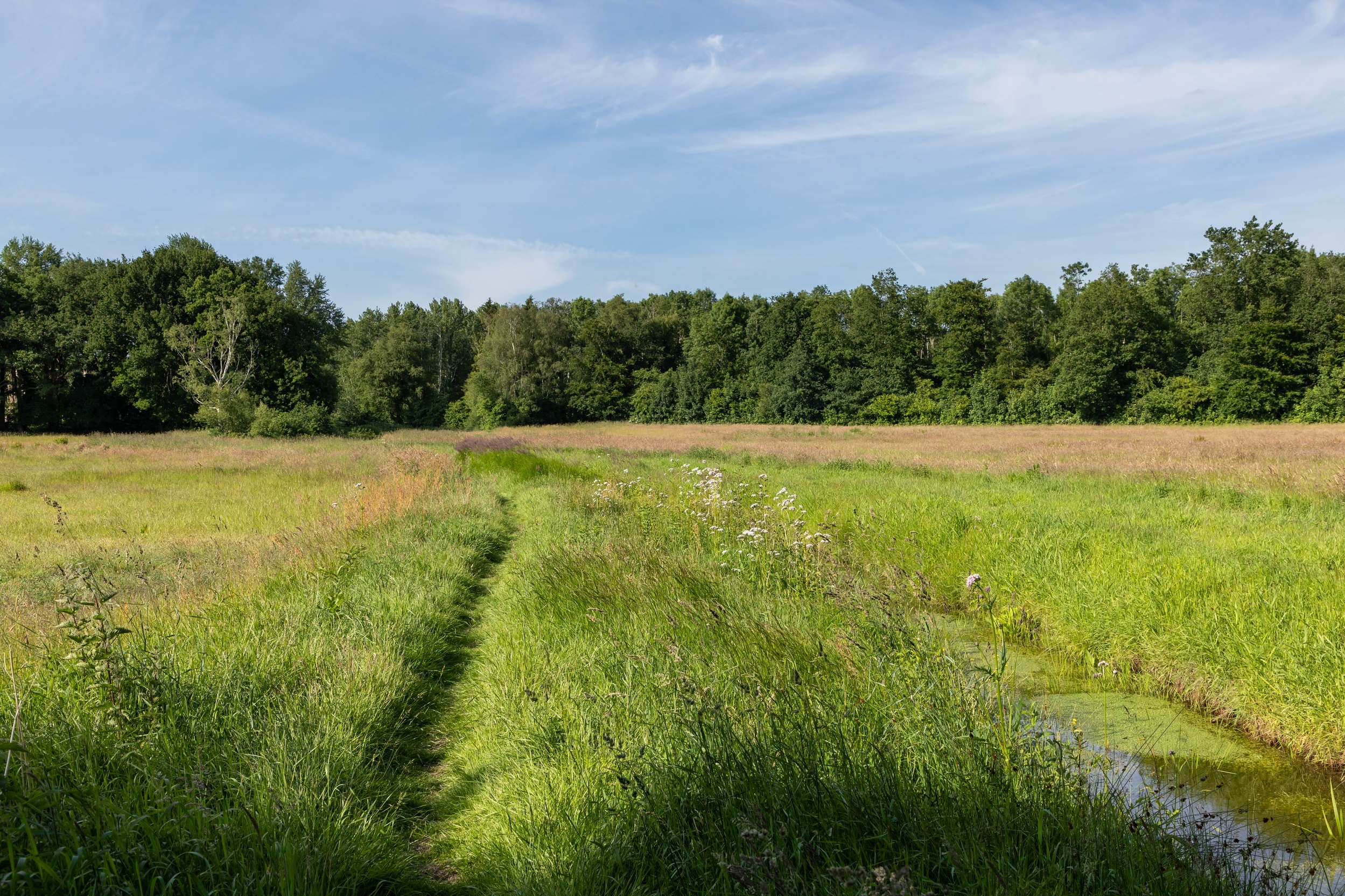 beekloop Diepstroeten Assen beekloop Diepstroeten Assen
