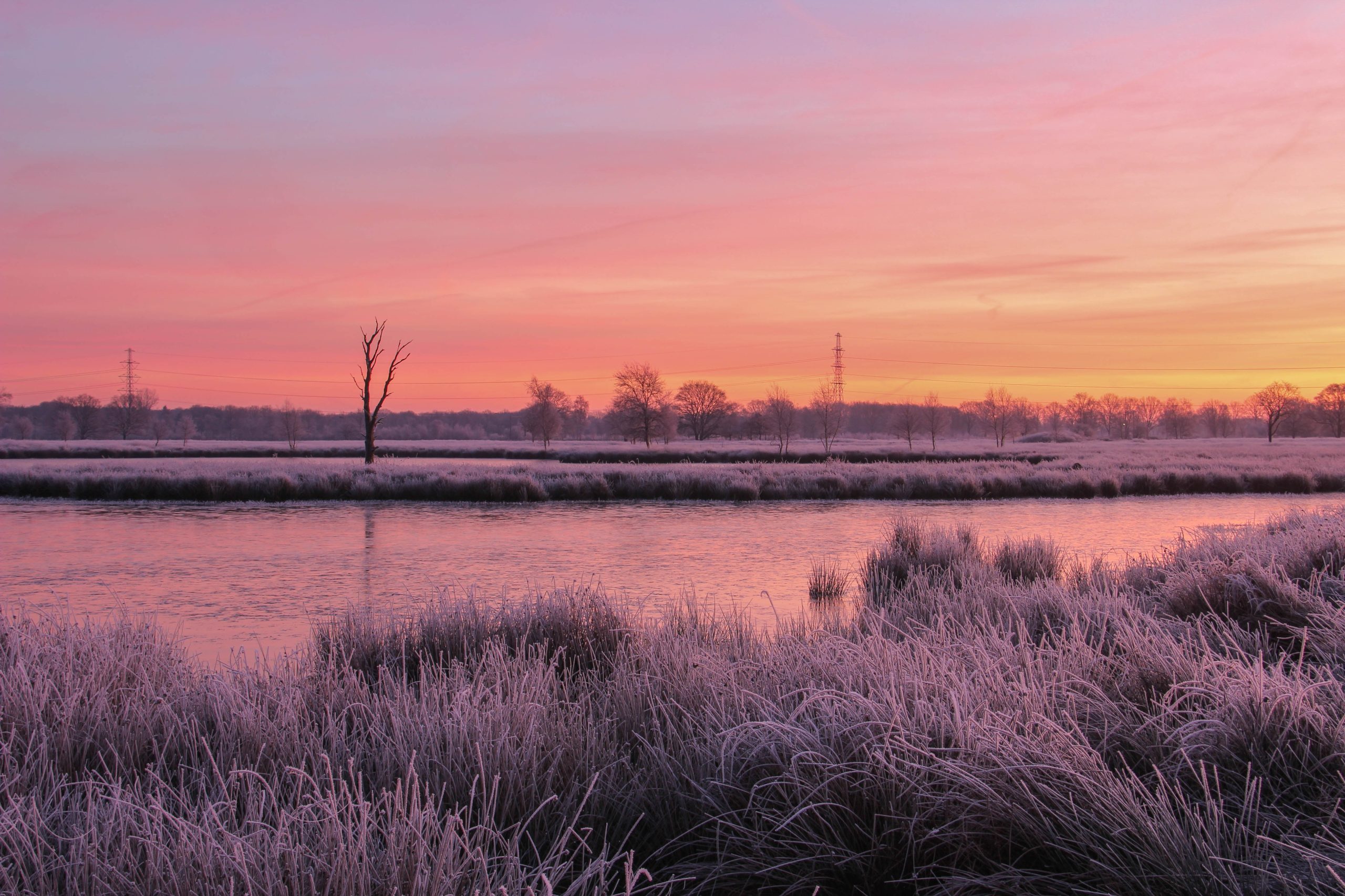 Boerveensche Plassen Boerveensche Plassen