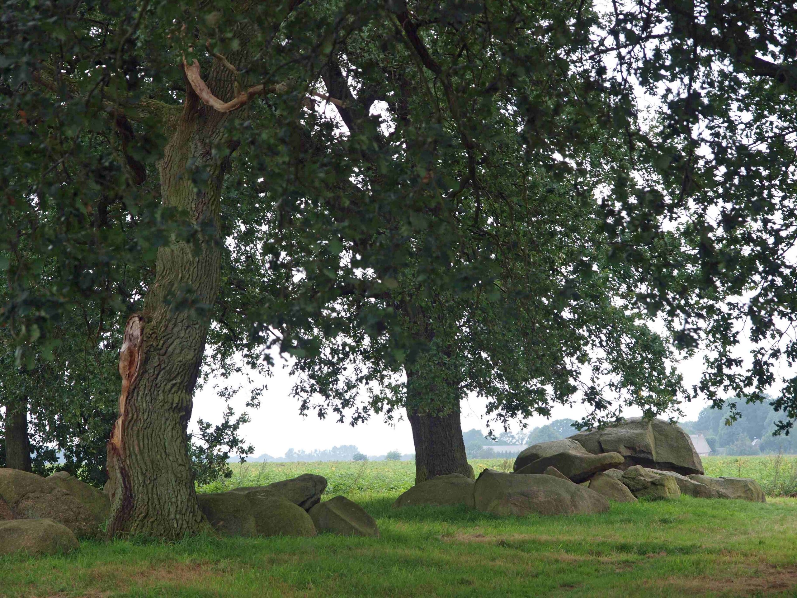 Valther Ommetje Oranje Eindje Om In Drenthe Valther Ommetje Oranje Eindje Om In Drenthe