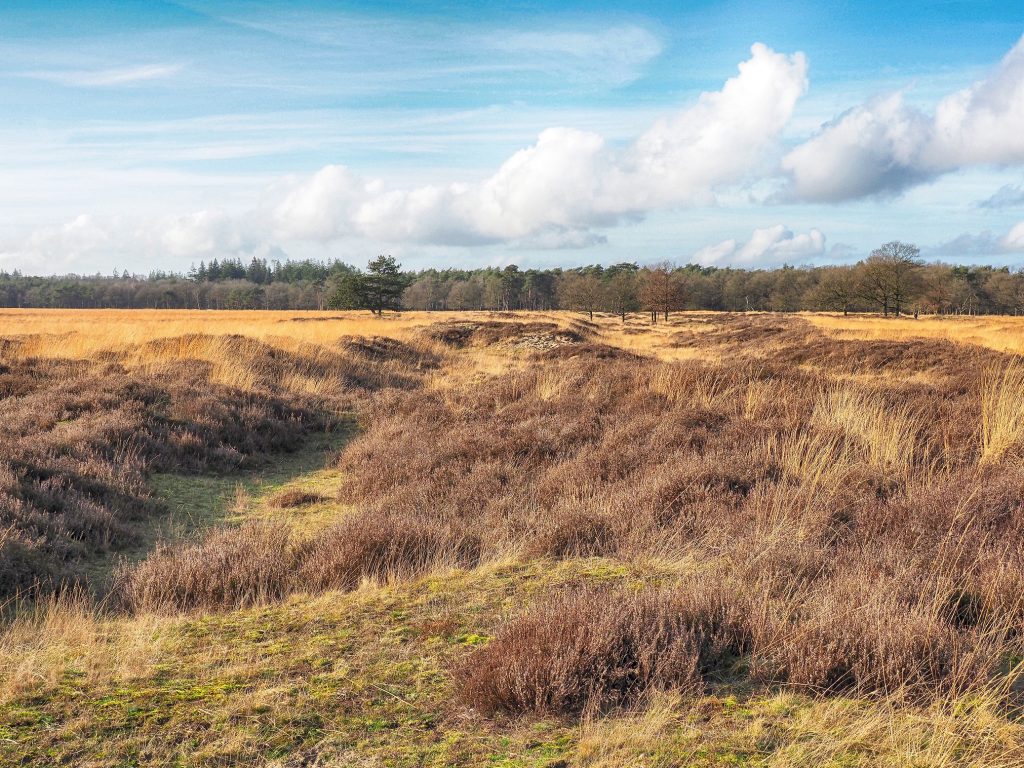 Karrensporen op het Doldersummerveld Karrensporen op het Doldersummerveld
