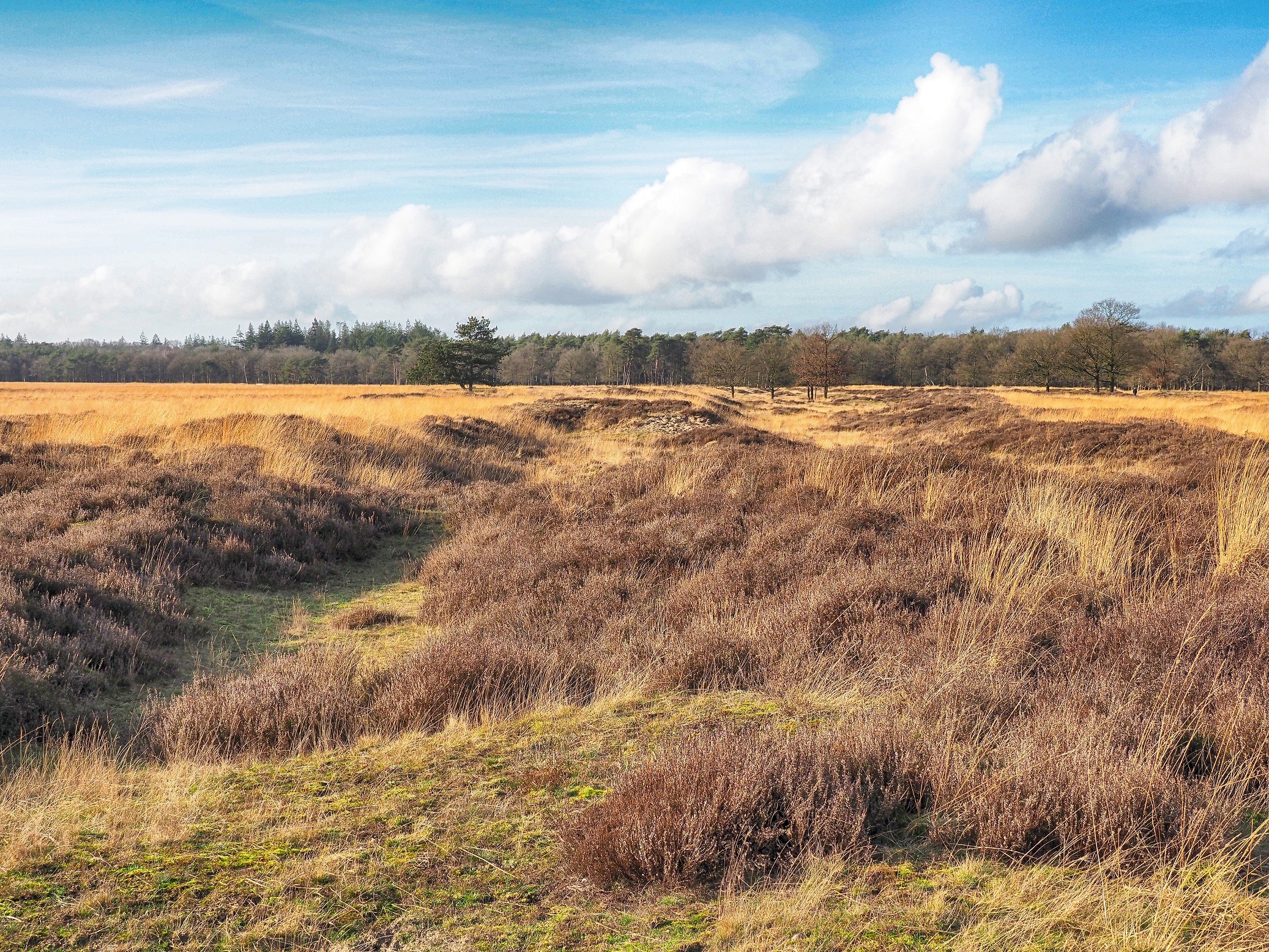 Karrensporen op het Doldersummerveld Karrensporen op het Doldersummerveld