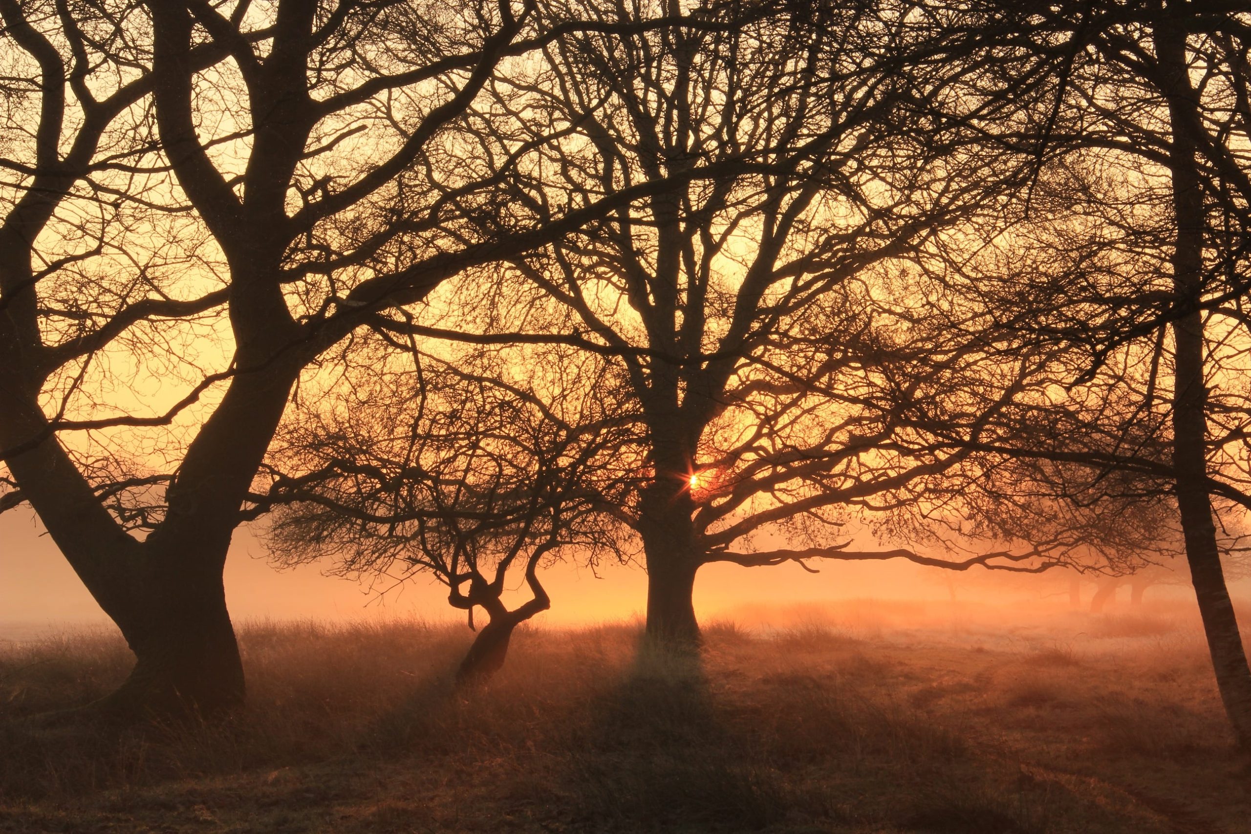 Zonsondergang Elper Westerveld