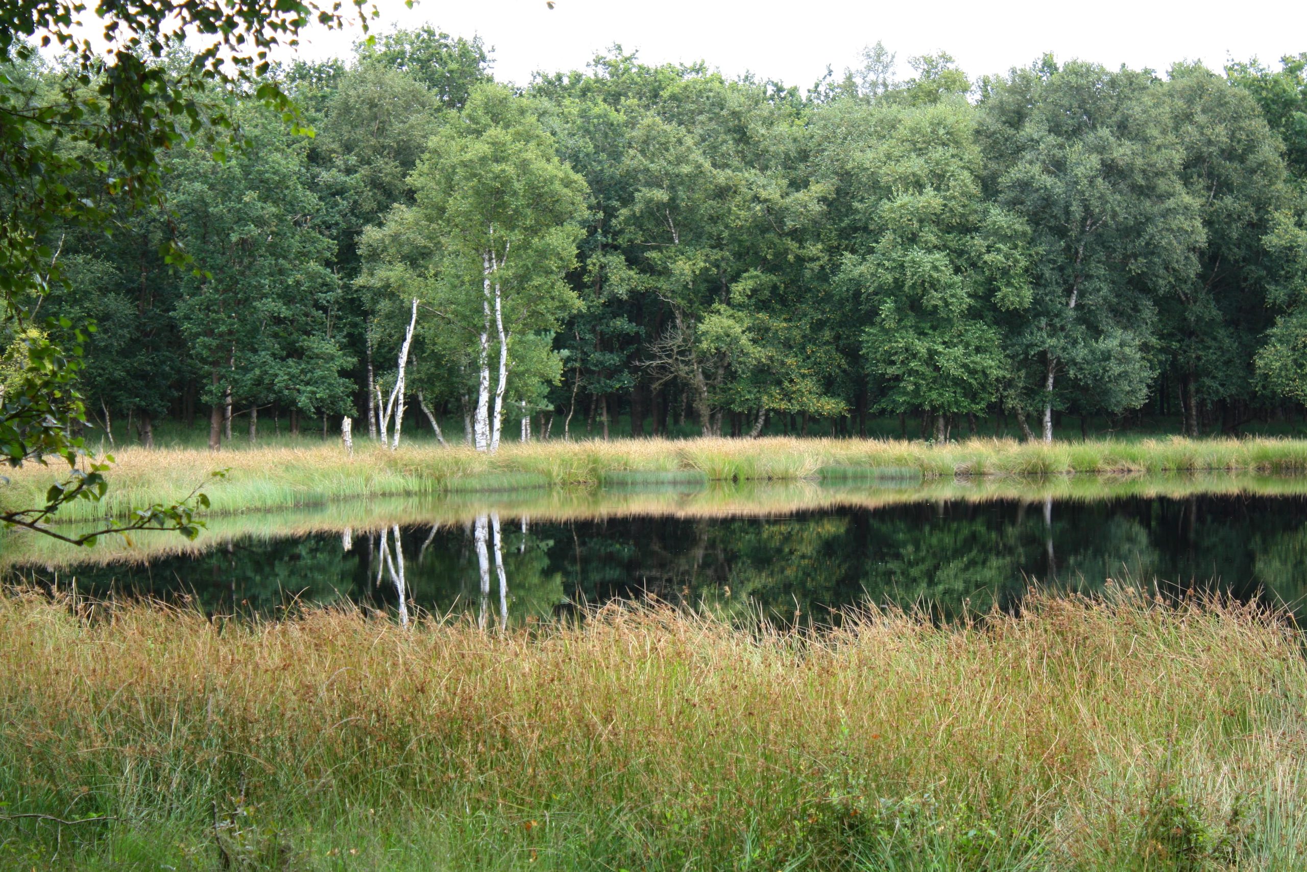 Beilen: Holtherzand Beilen: Holtherzand
