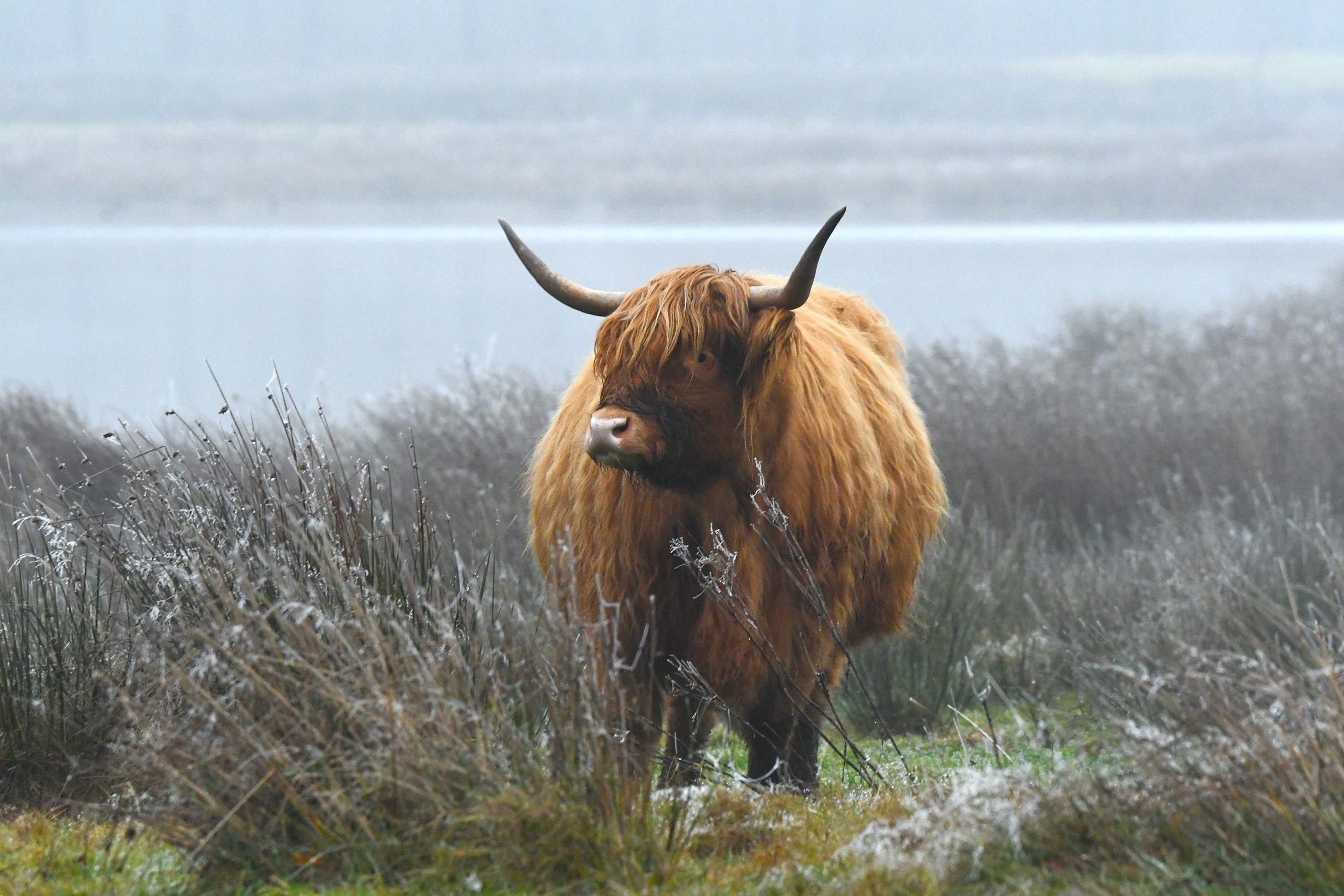 Wijster: Landgoed Vossenberg Wijster: Landgoed Vossenberg