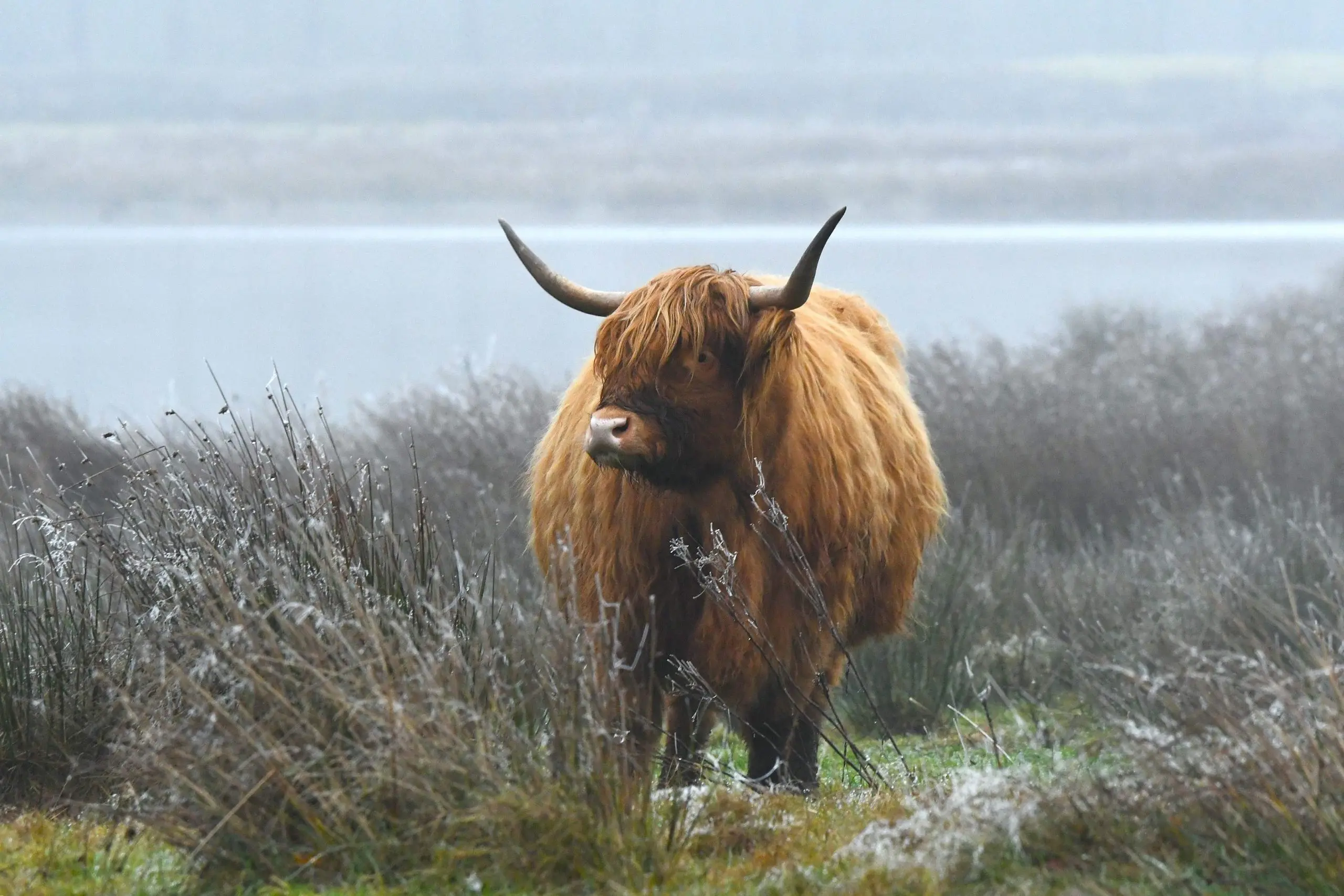 Wijster: Landgoed Vossenberg Wijster: Landgoed Vossenberg