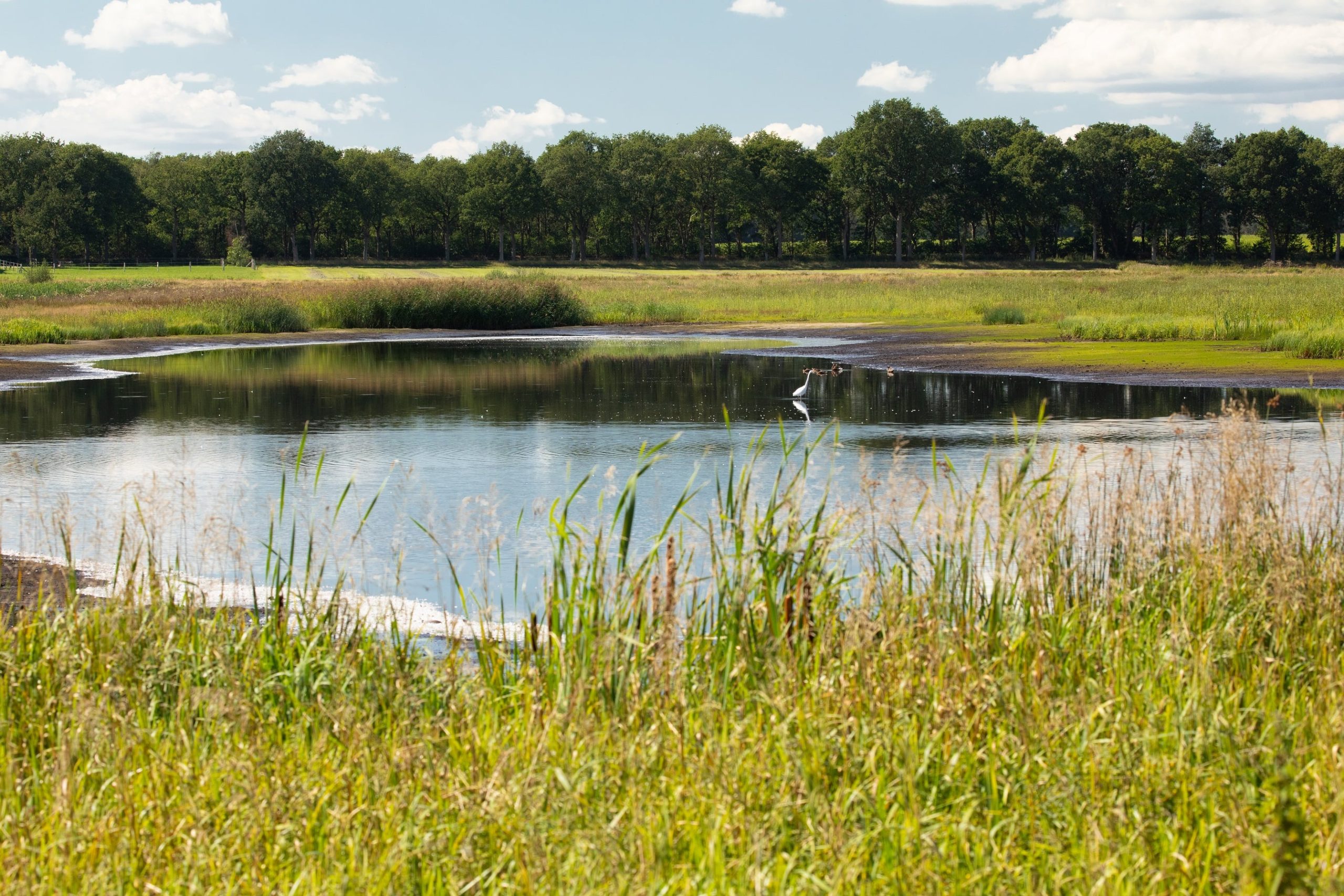 water in het LOFAR gebied