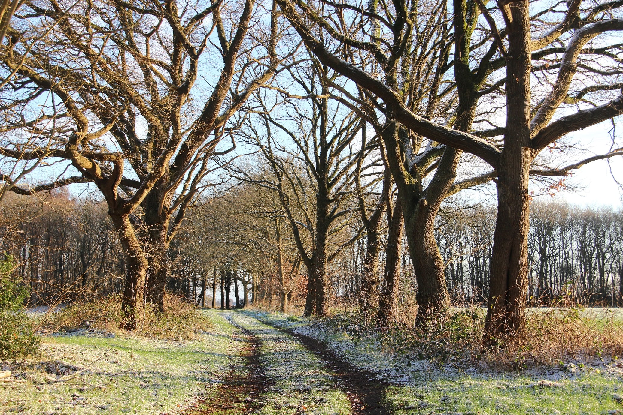 landgoed Rheebruggen Uffelte landgoed Rheebruggen Uffelte