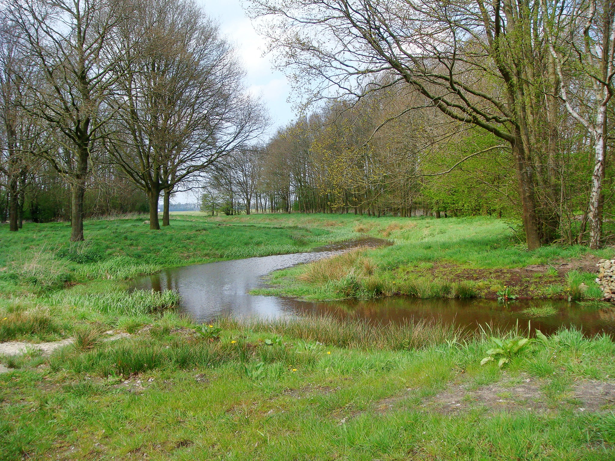 Torenveen