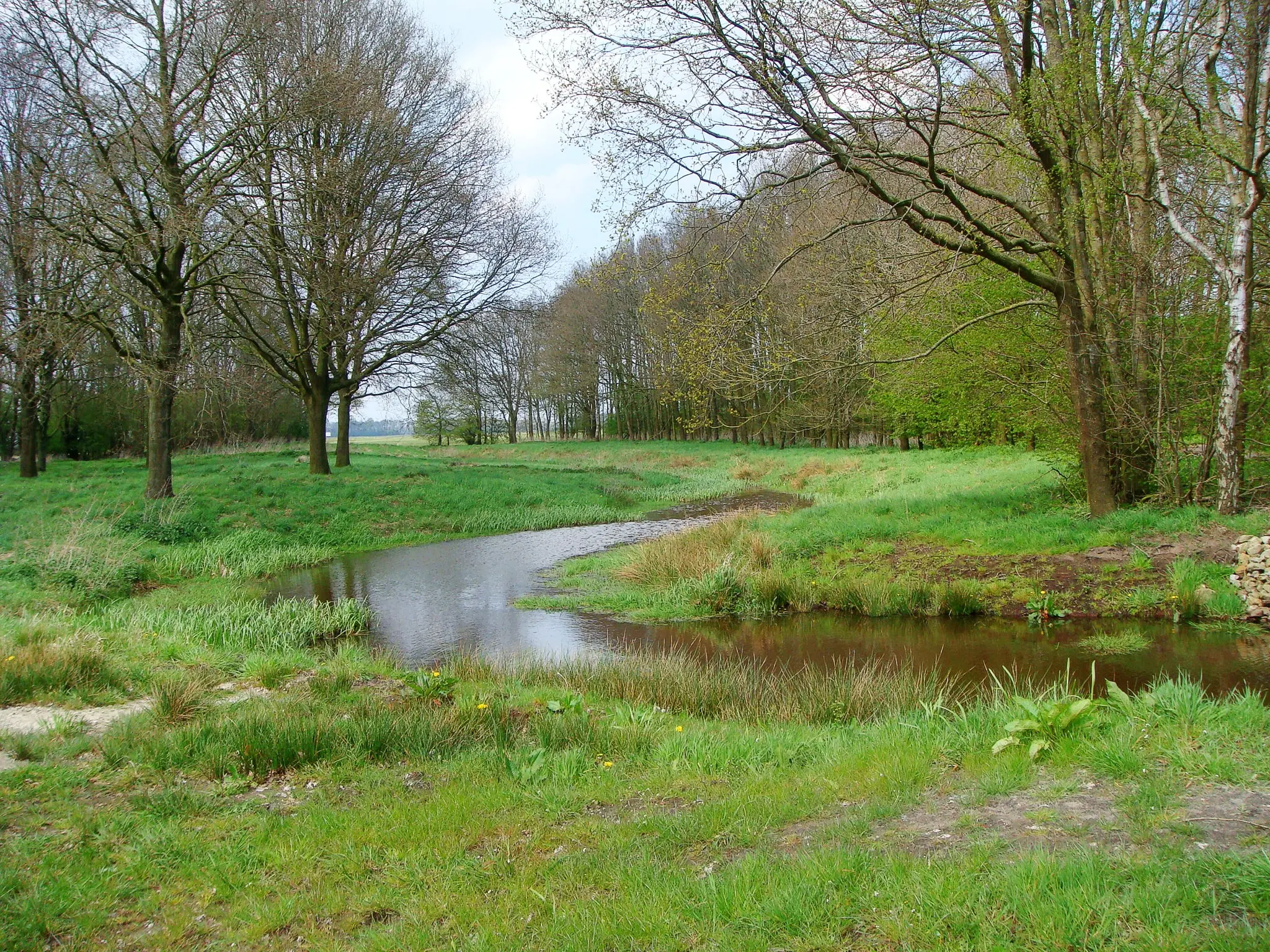 Torenveen