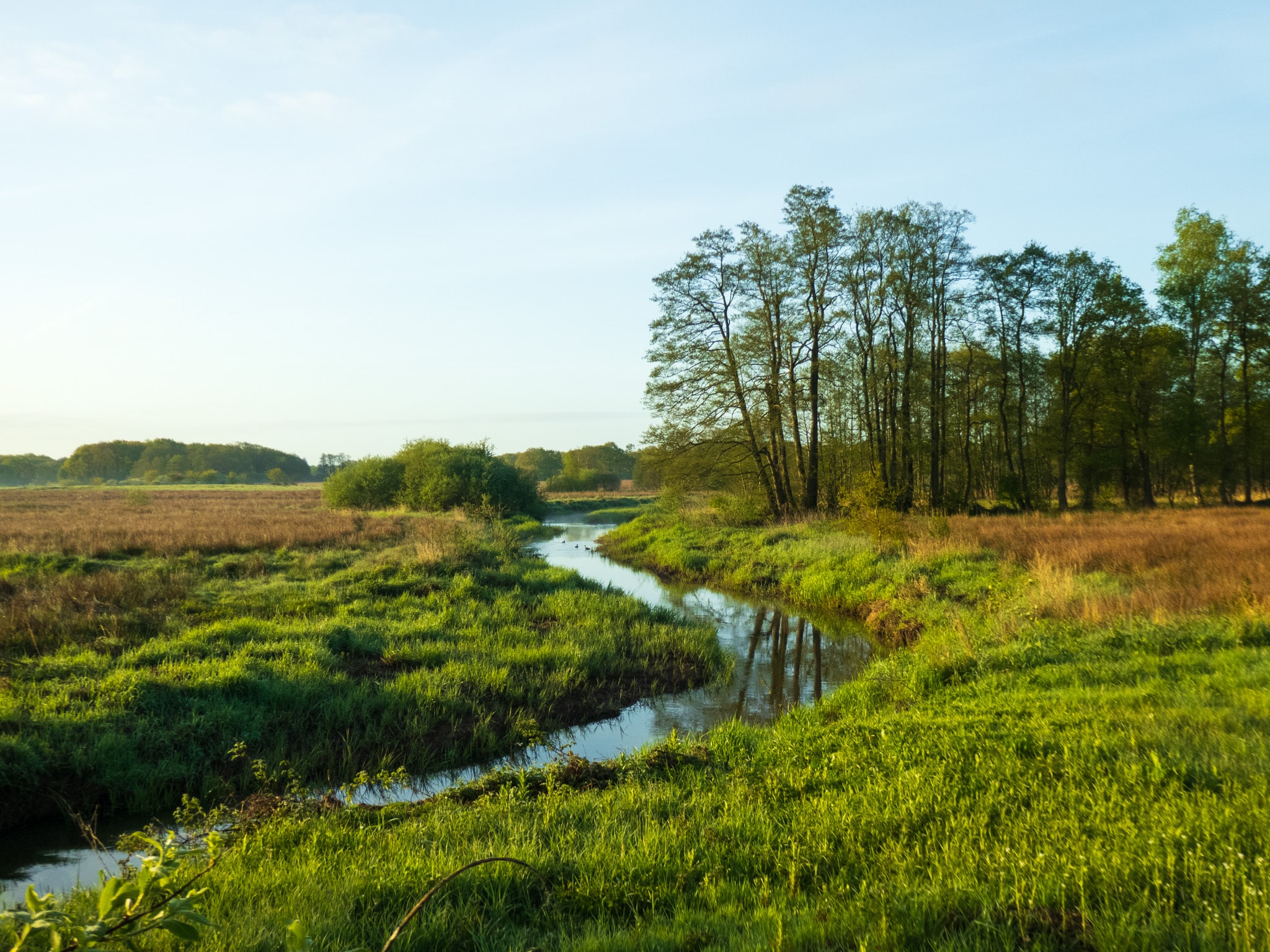 Wedbroeken Tynaarlo wandelroute