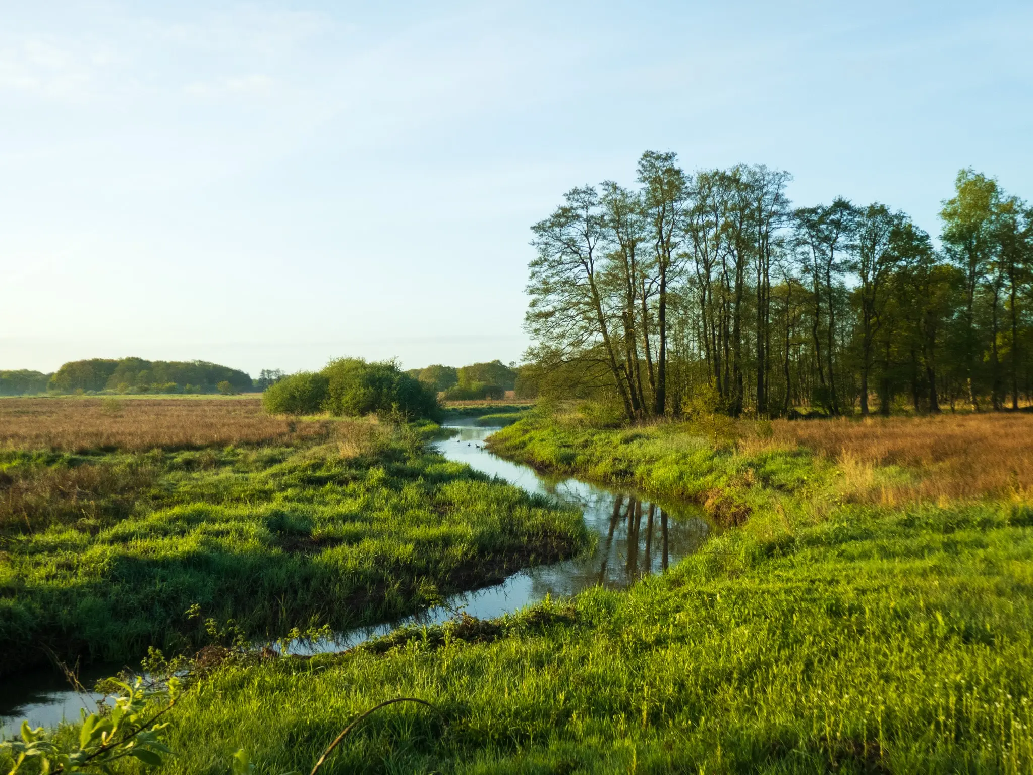 Wedbroeken Tynaarlo wandelroute Wedbroeken Tynaarlo wandelroute
