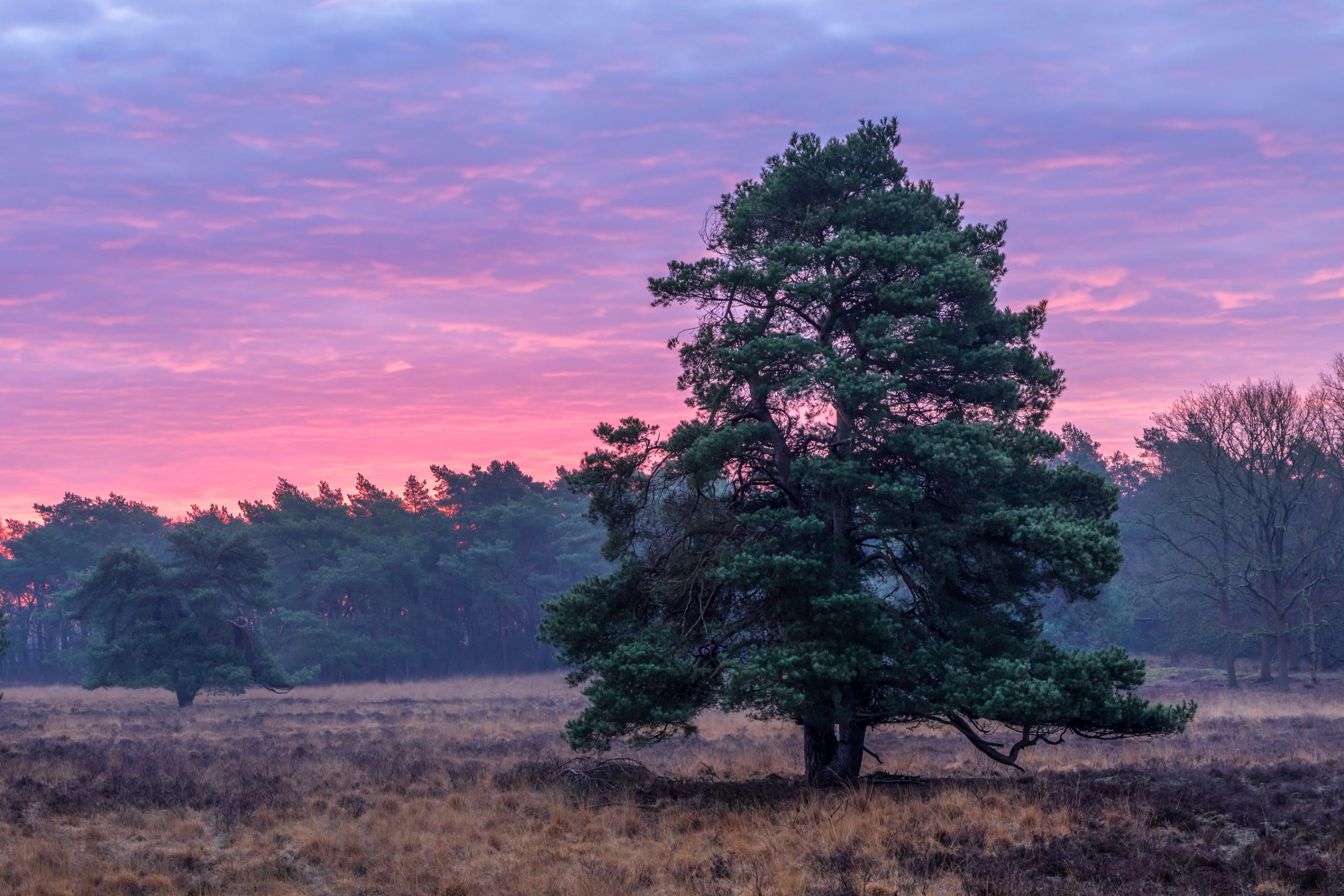Uffelter Binnenveld