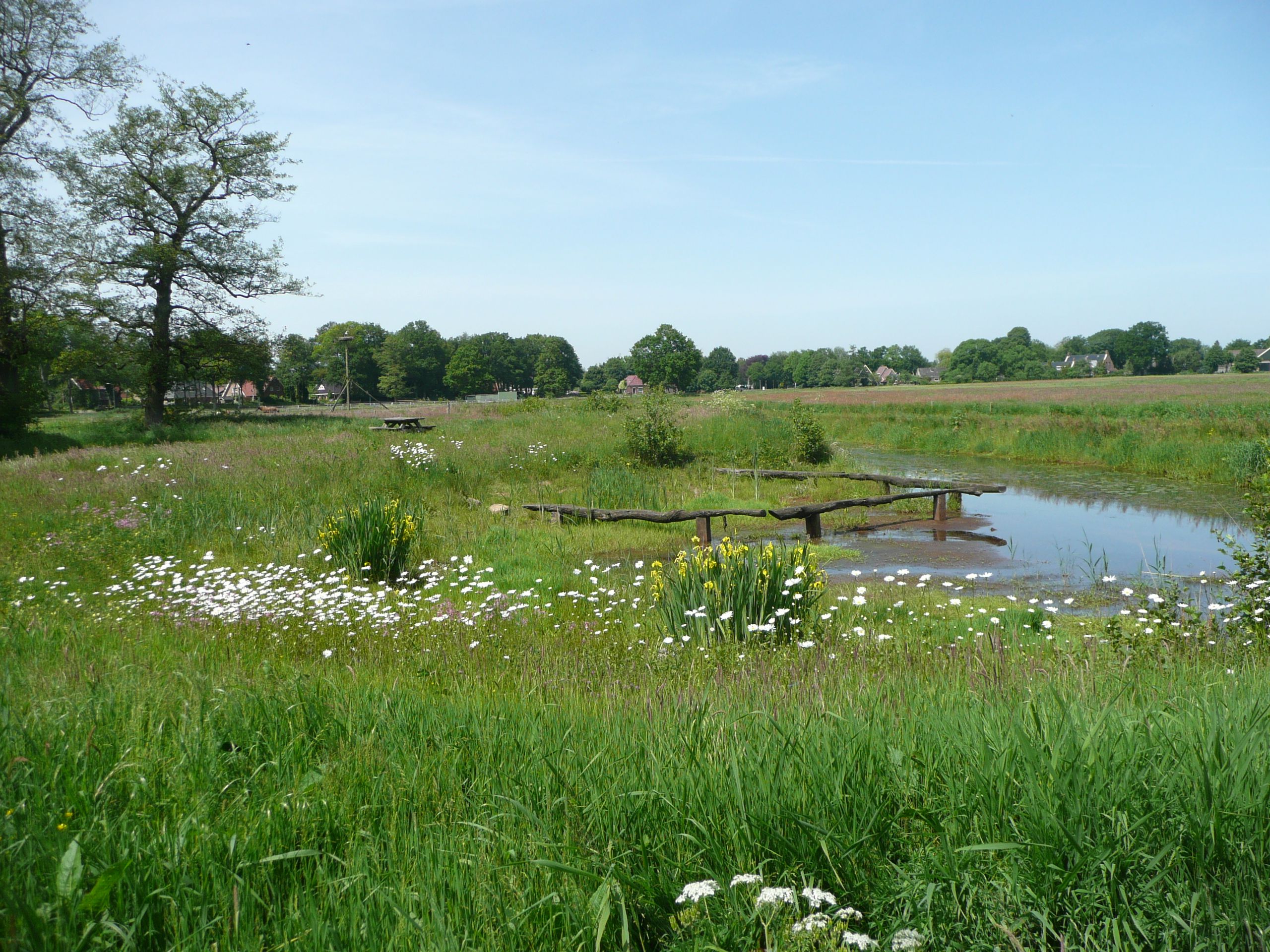Elp-Zweeloo: Barbizon van het Noorden Elp-Zweeloo: Barbizon van het Noorden
