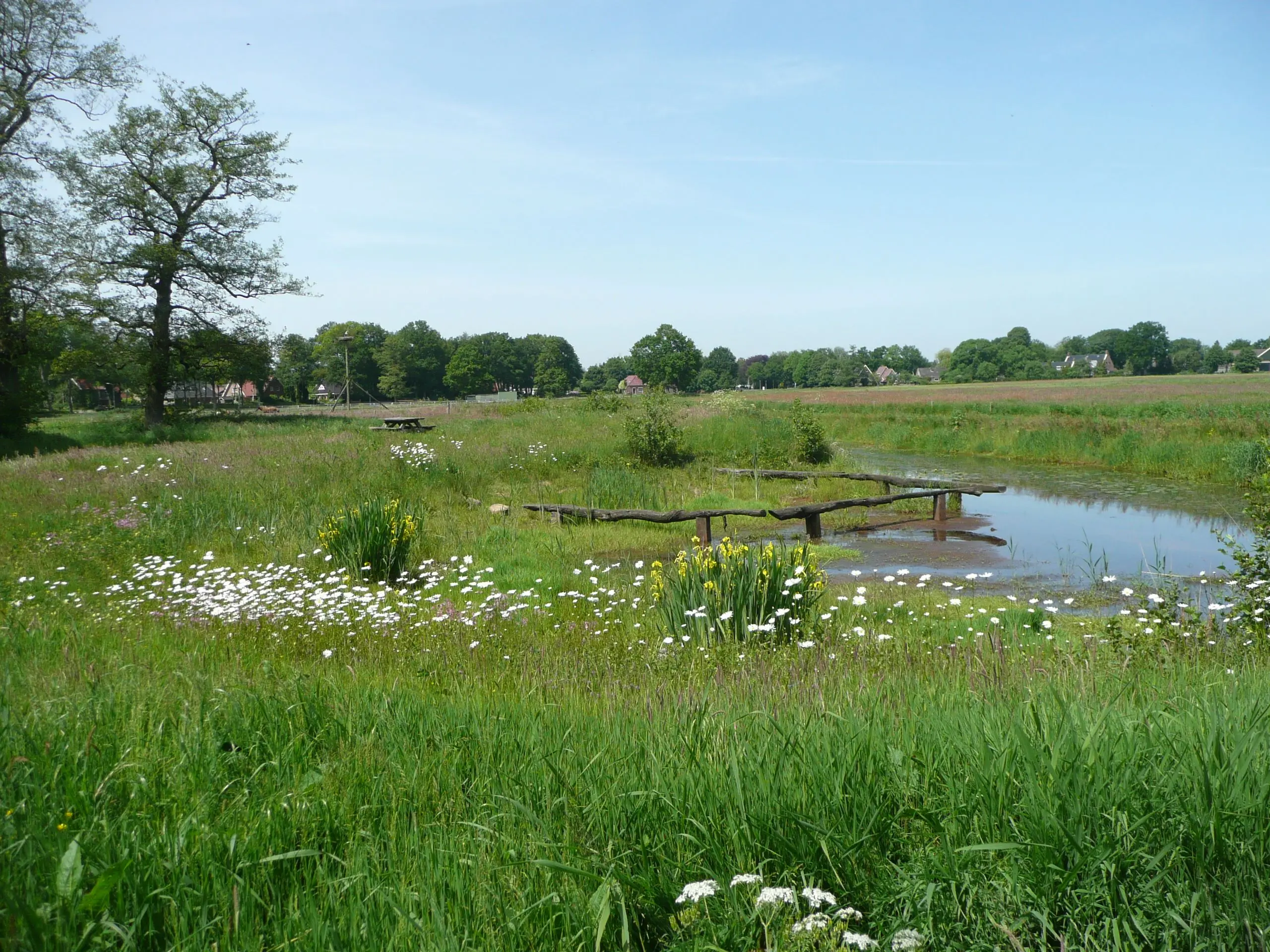 Elp-Zweeloo: Barbizon van het Noorden Elp-Zweeloo: Barbizon van het Noorden