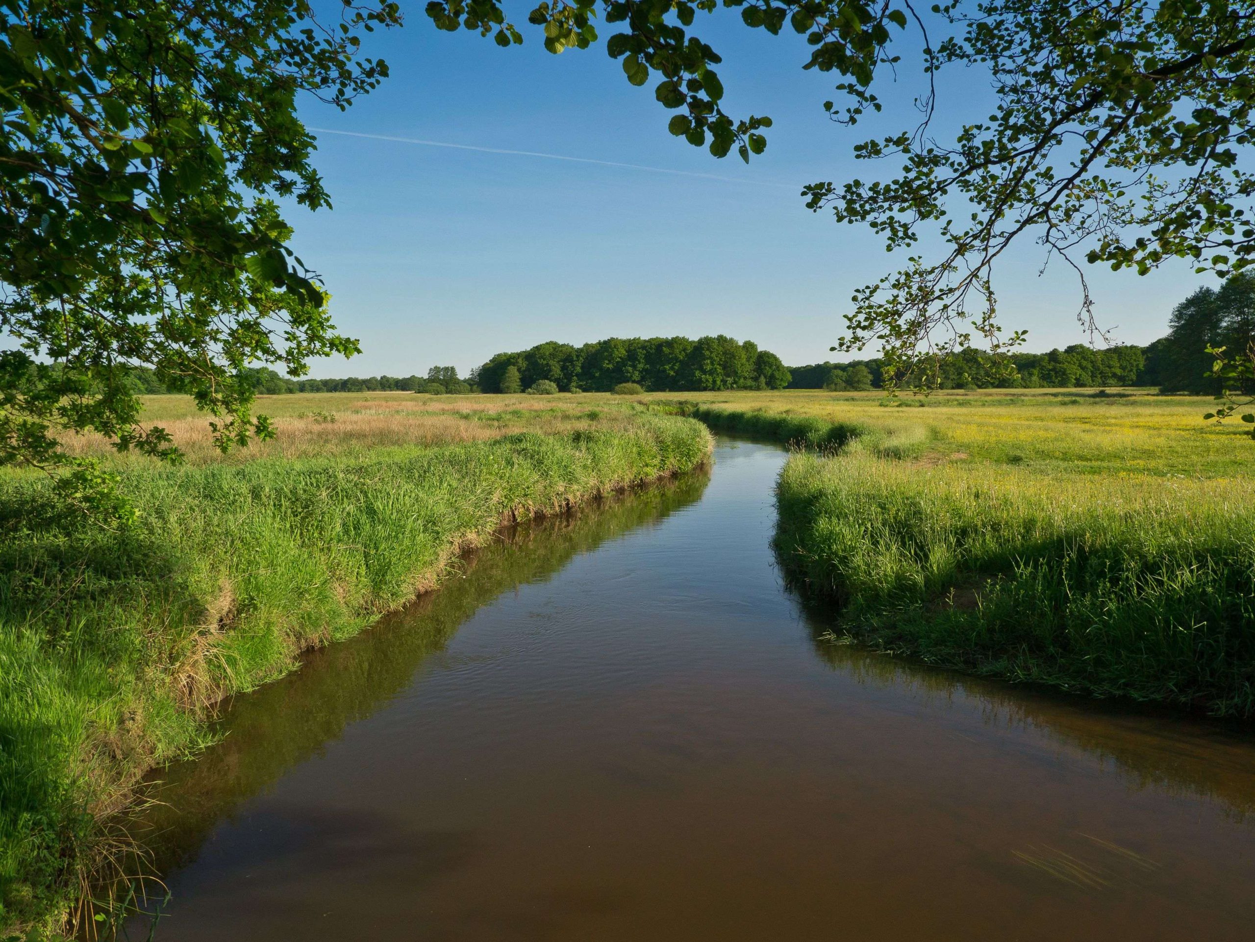 Schipborg: Waterbeheer Drentsche Aa Schipborg: Waterbeheer Drentsche Aa