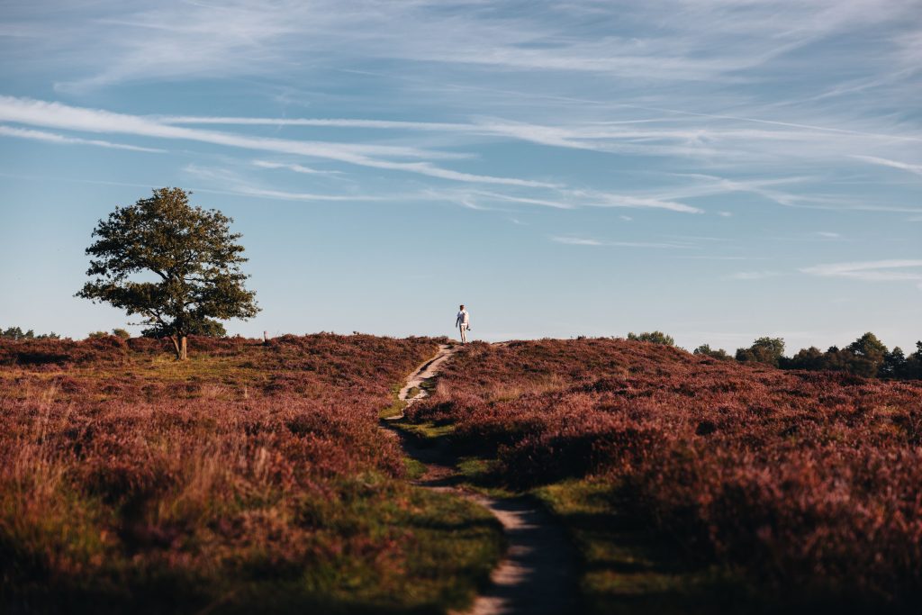 wandelaar Gasterse Duinen wandelaar Gasterse Duinen