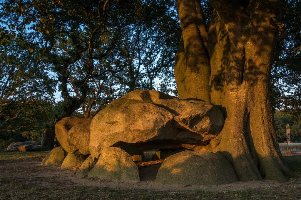 Hunebed D21 Foto Alle Oldenbeuving Het Drentse Landschap